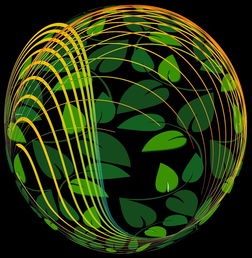 星空体育入口-未来青训：生态系统构建助推足球强国梦，足球生态系统建设