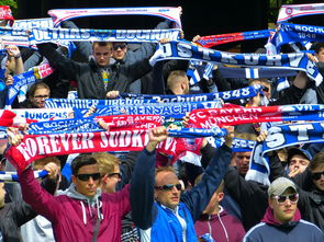 星空体育娱乐平台-球迷文化盛宴：从欧洲到亚洲的足球狂欢，中国足球球迷文化