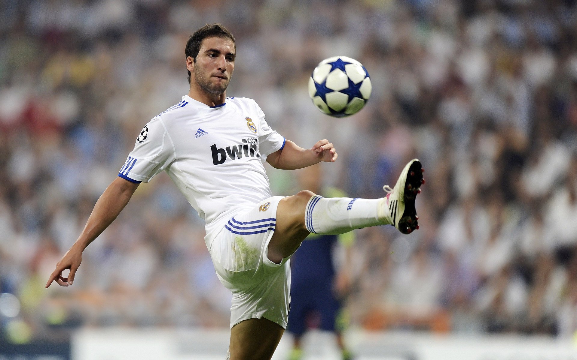 星空体育app官方网站-绿茵场上王者之争，欧冠赛场豪门对决，冠军欧洲豪门队报