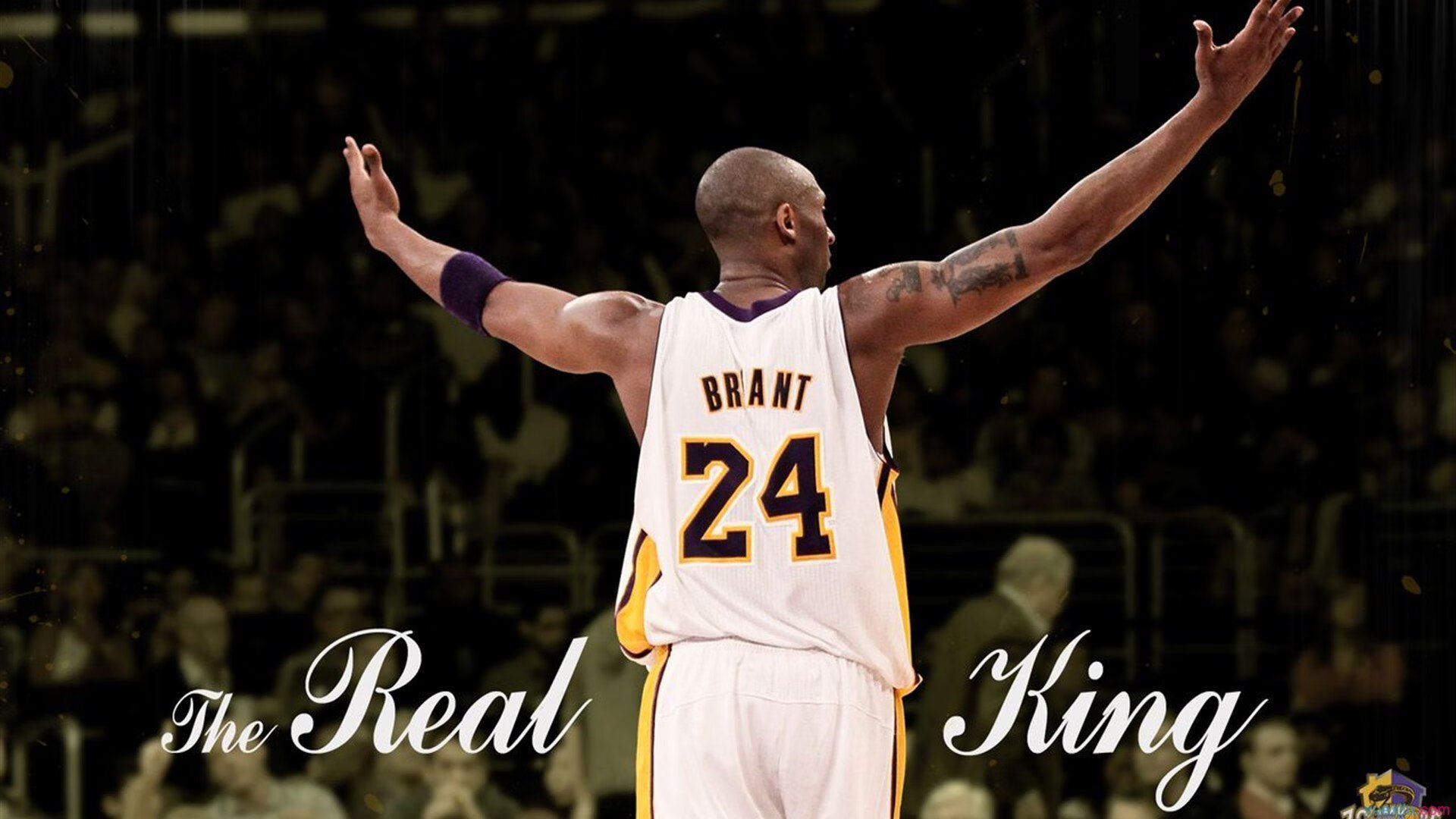 美国骑手马库斯·奥尔洛布在巴黎奥运会上与“Jane”马匹共同参赛，尽管因马匹受伤被迫退出，但展现了坚强意志。